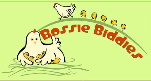 Bossie Biddies